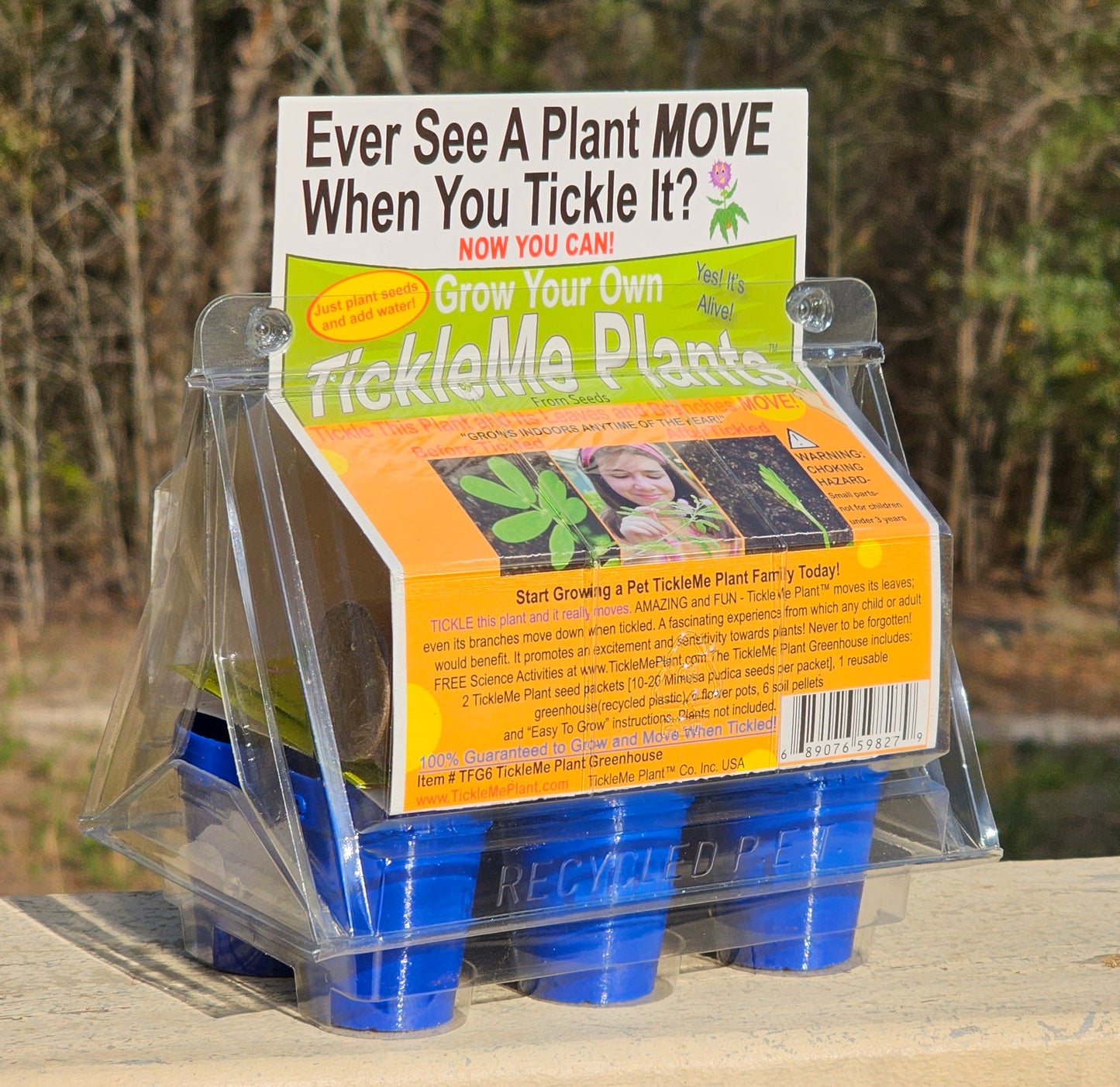 TickleMe Plant Grow Kit! Leaves Close when you Tickle it. Great for Homeschooling