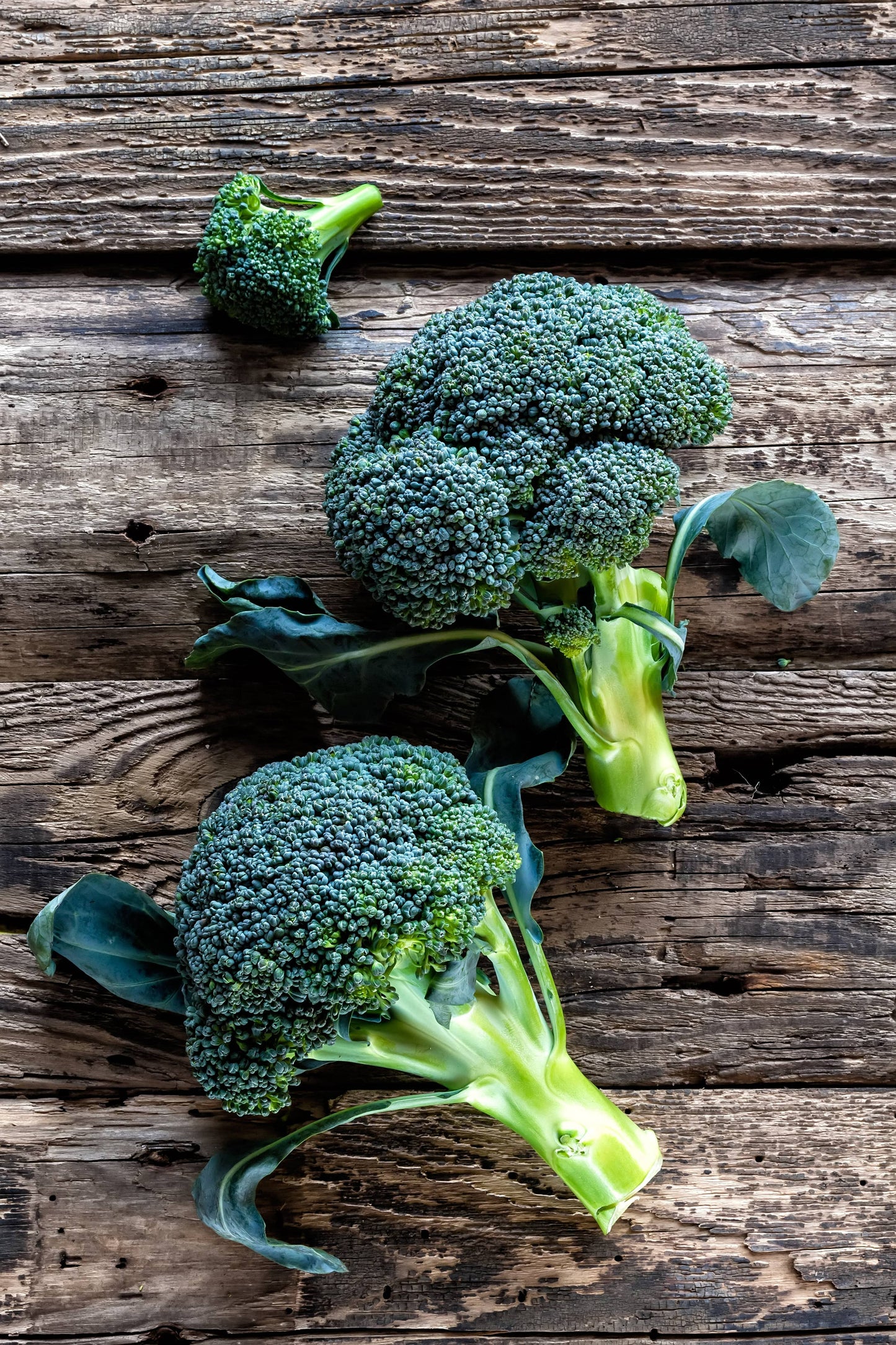 Broccoli, Green Sprouting Seed Packets