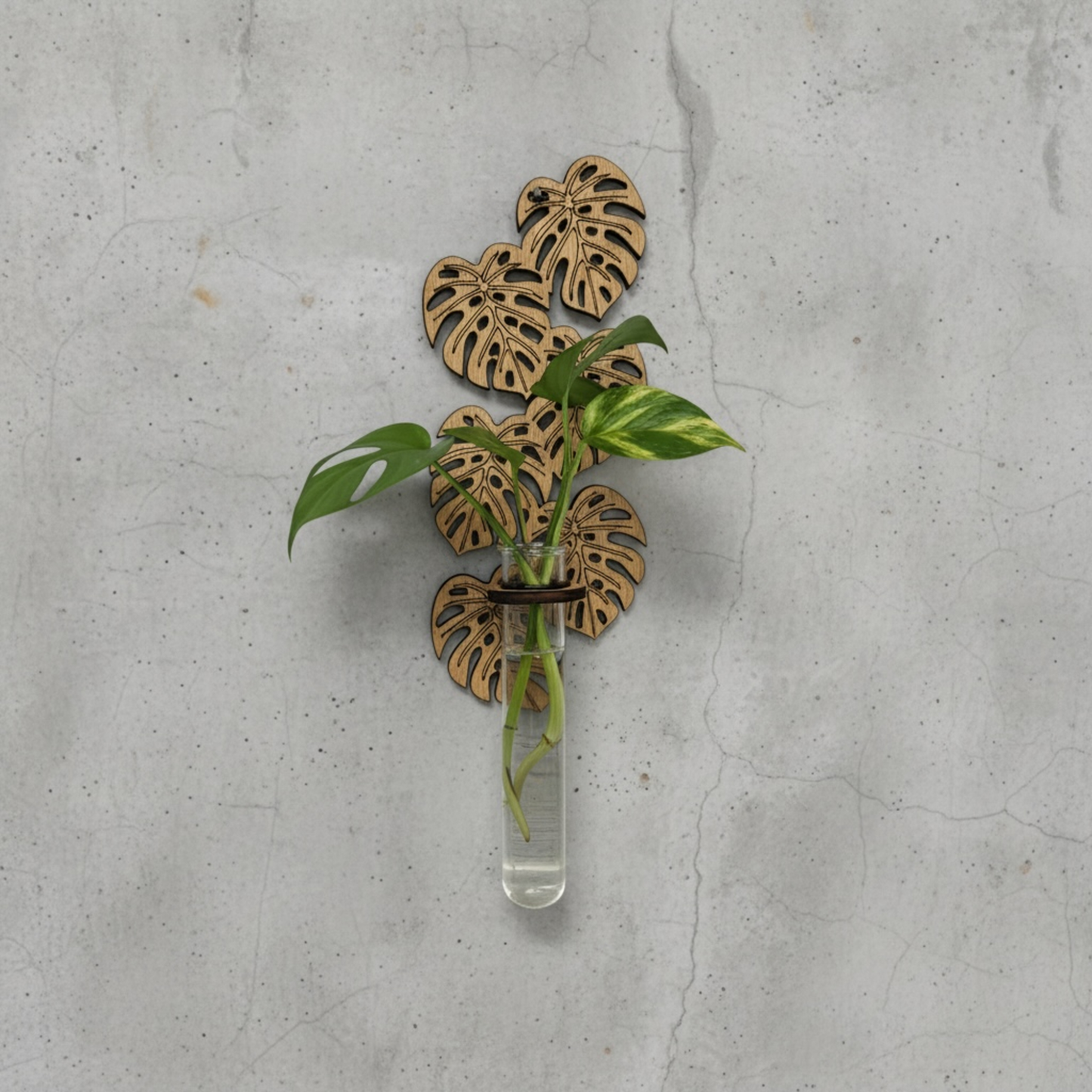 Propagation Vase, Wood Monstera Wall Hanging Propagation