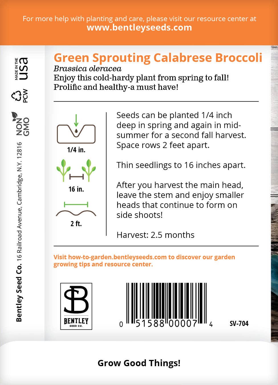 Broccoli, Green Sprouting Seed Packets