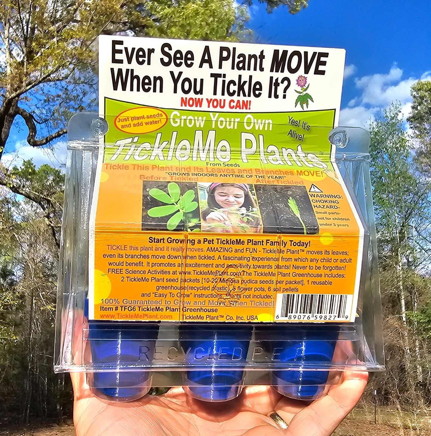 TickleMe Plant Grow Kit! Leaves Close when you Tickle it. Great for Homeschooling