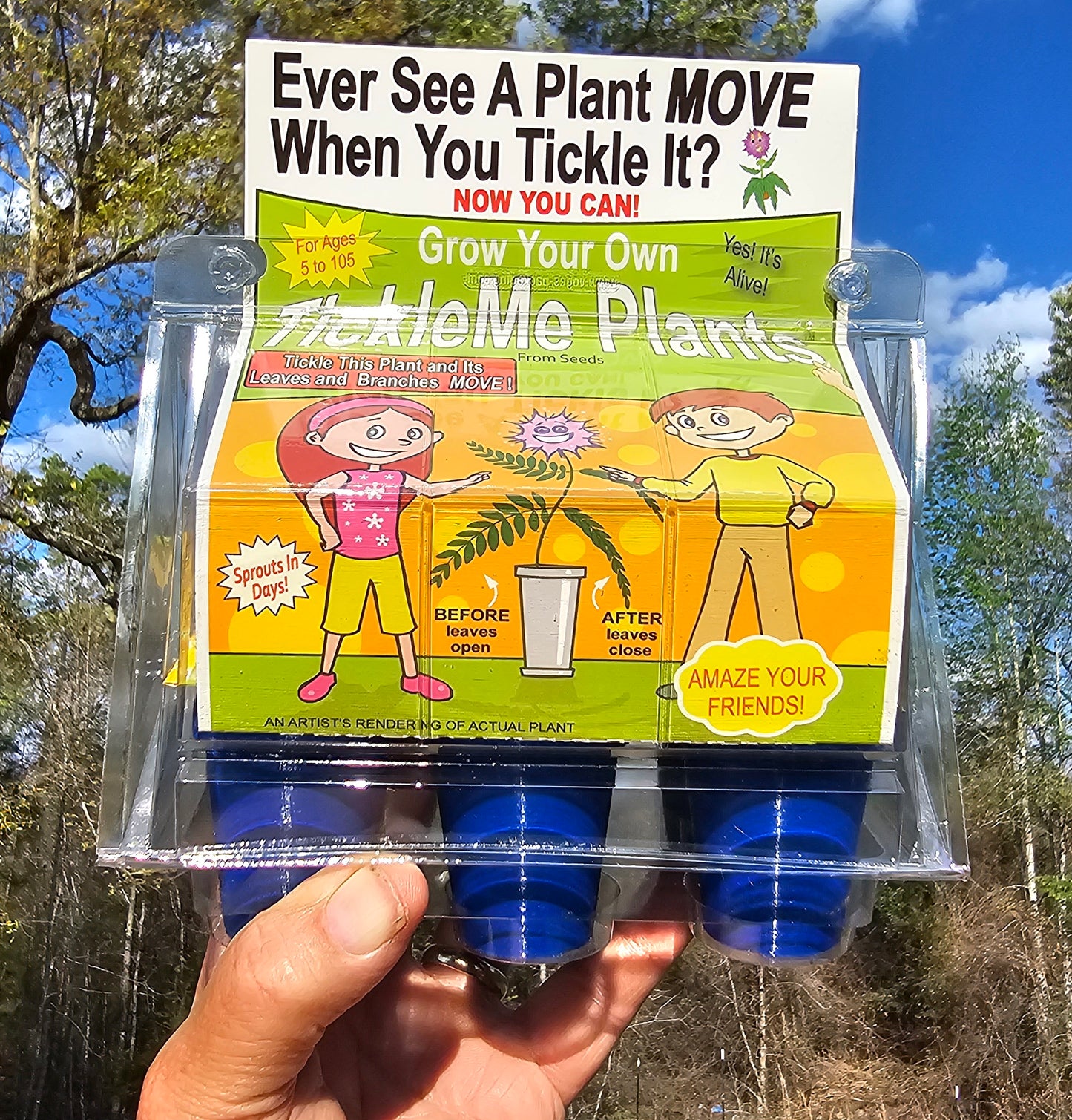 TickleMe Plant Grow Kit! Leaves Close when you Tickle it. Great for Homeschooling