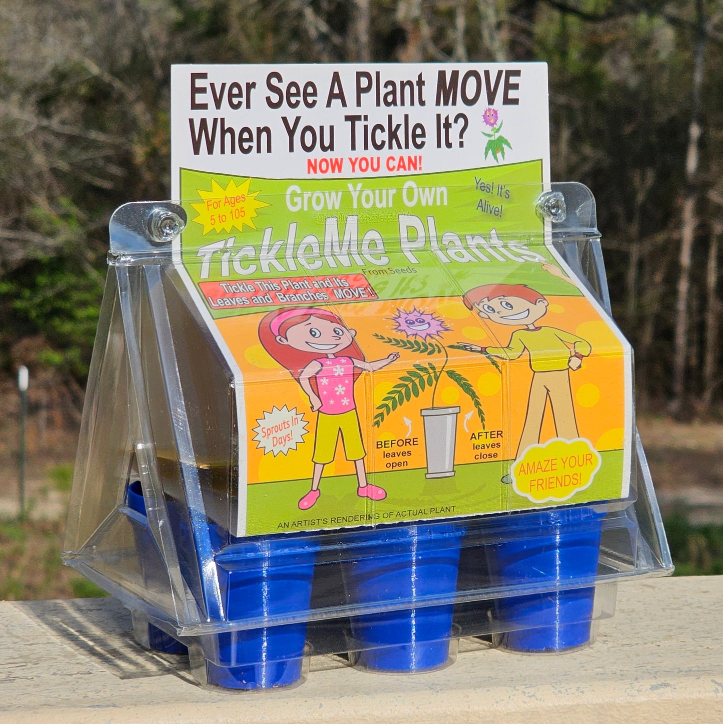 TickleMe Plant Grow Kit! Leaves Close when you Tickle it. Great for Homeschooling