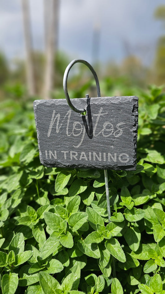 Mojitos in Training Slate Plant Marker