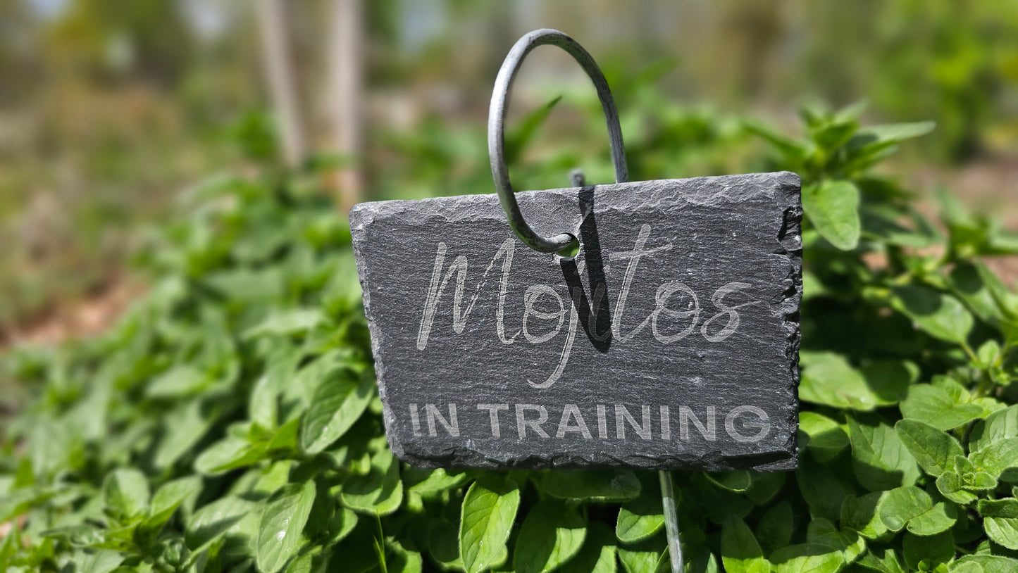 Mojitos in Training Slate Plant Marker