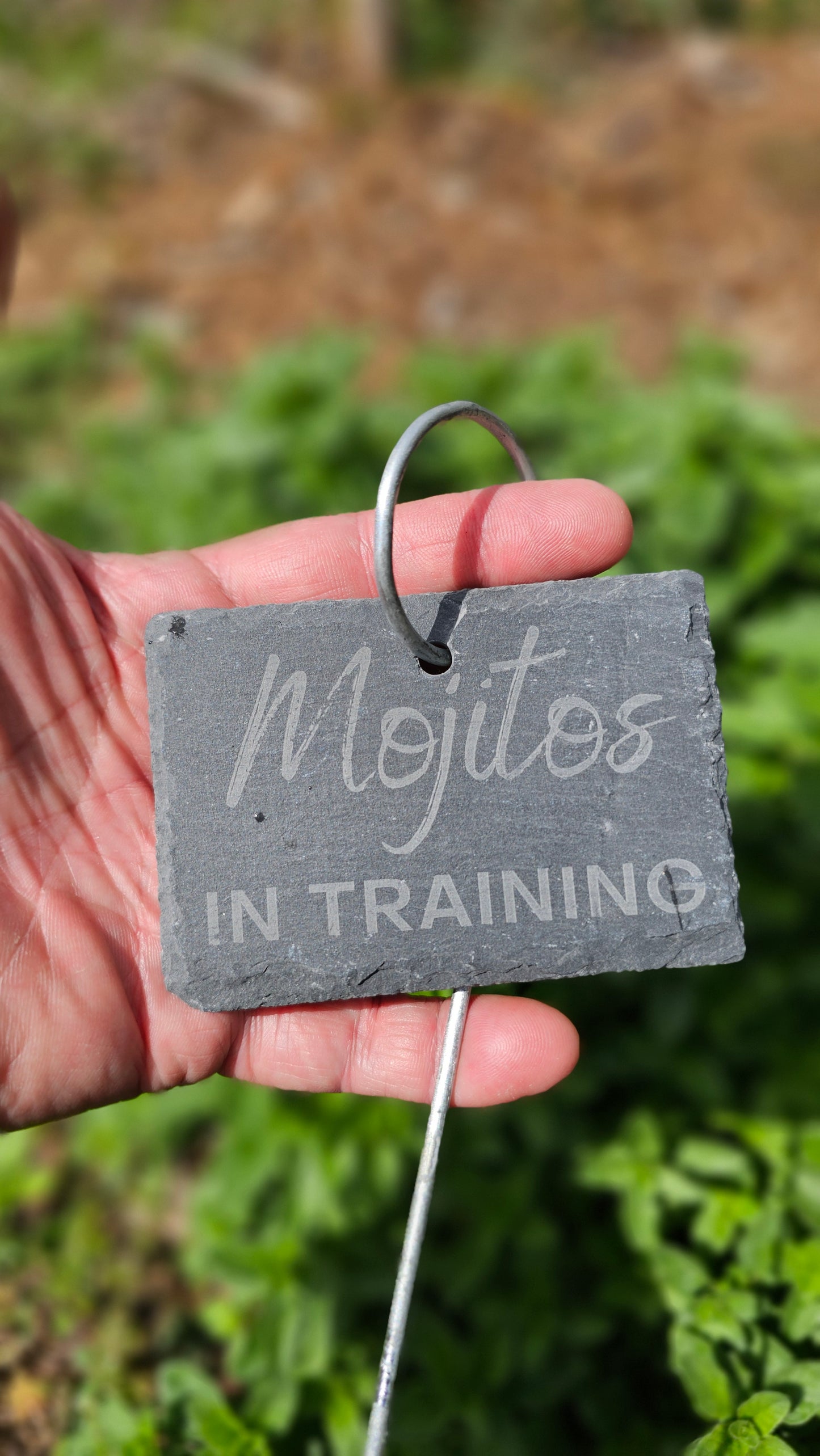 Mojitos in Training Slate Plant Marker
