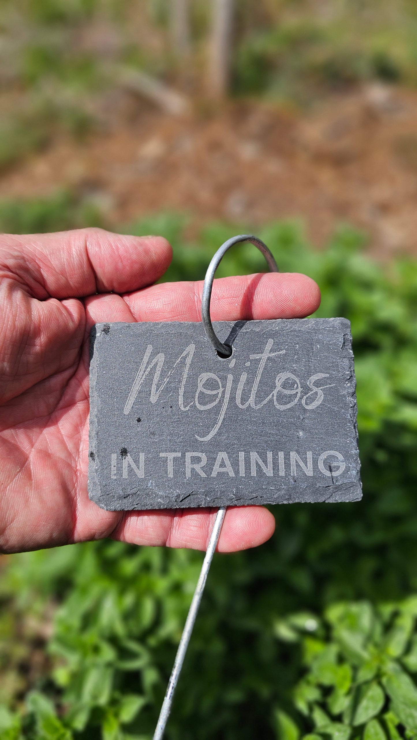 Mojitos in Training Slate Plant Marker