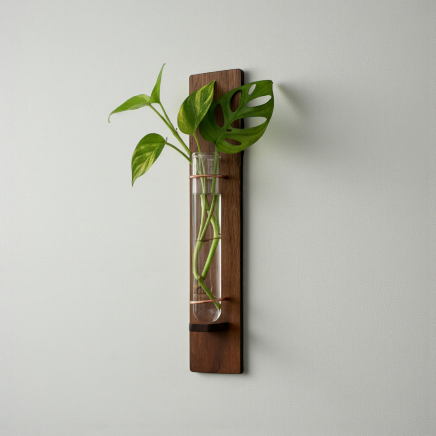 Wall Propagation Vase | Walnut Accent Decor Planters