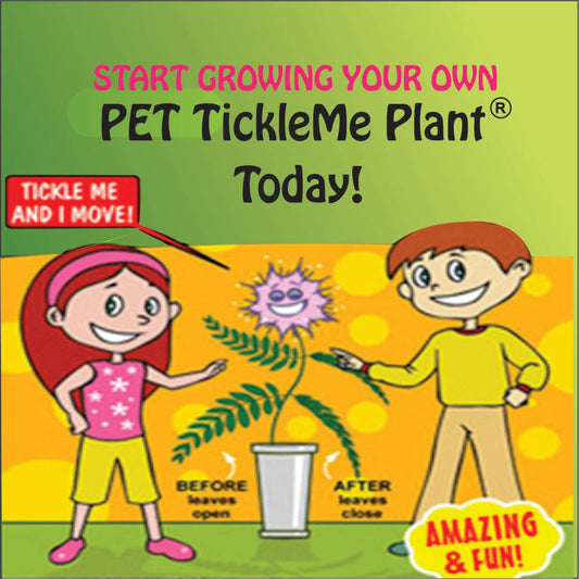 TickleMe Plant Seed Pack