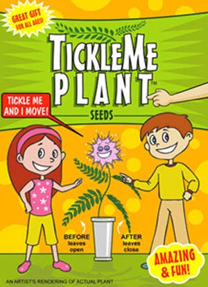 TickleMe Plant Seed Pack