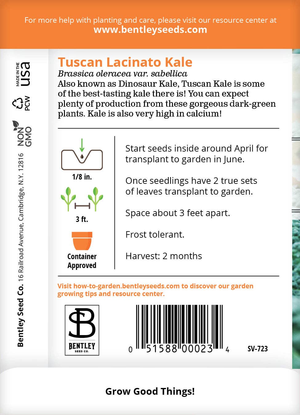 Kale, Lacinato Seed Packets