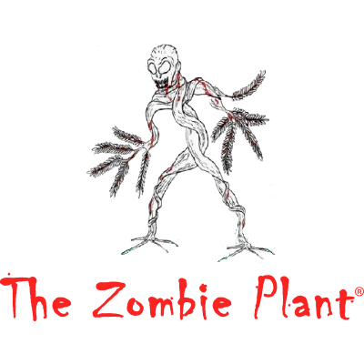 Zombie Plant seed packets -"PLAYS DEAD" when you Touch It!