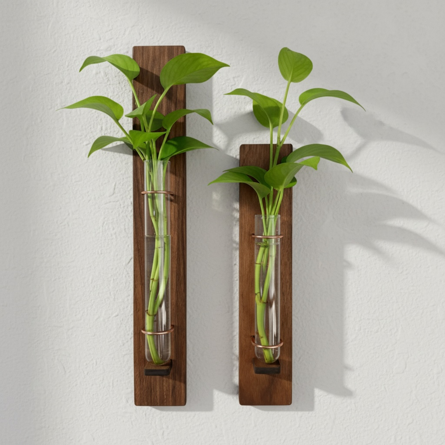 Wall Propagation Vase | Walnut Accent Decor Planters