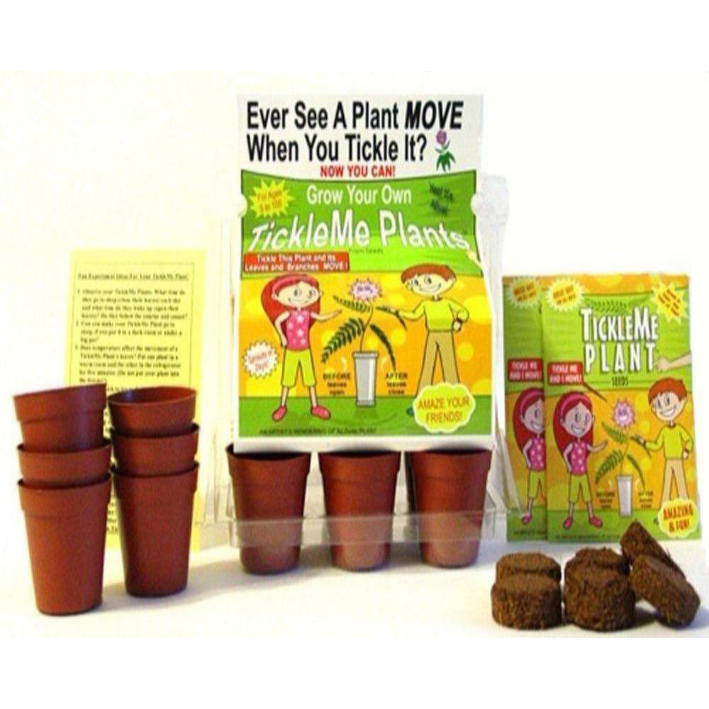 TickleMe Plant Grow Kit! Leaves Close when you Tickle it. Great for Homeschooling