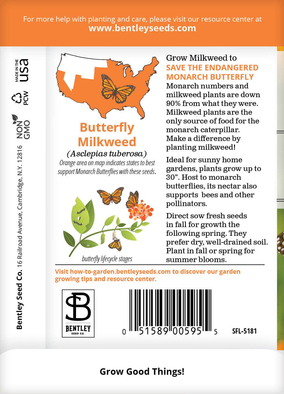 Perennial Butterfly Milkweed Seed Packets