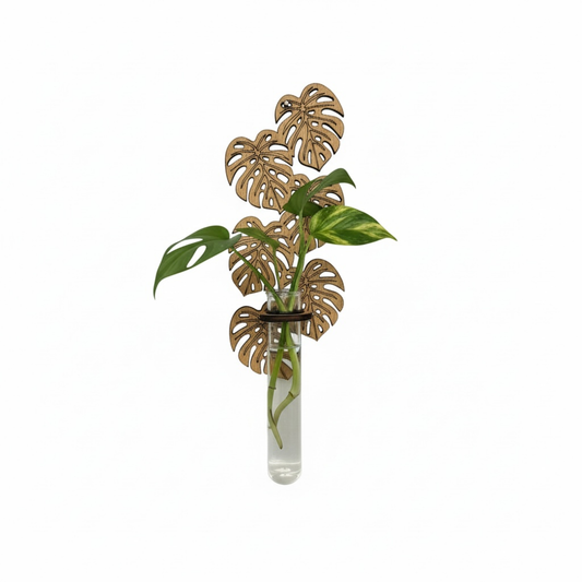 Propagation Vase, Wood Monstera Wall Hanging Propagation