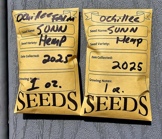 Sunn Hemp Seeds (Crotalaria juncea) - 1 oz, Non-GMO, Chemical-Free - Ochillee Farm